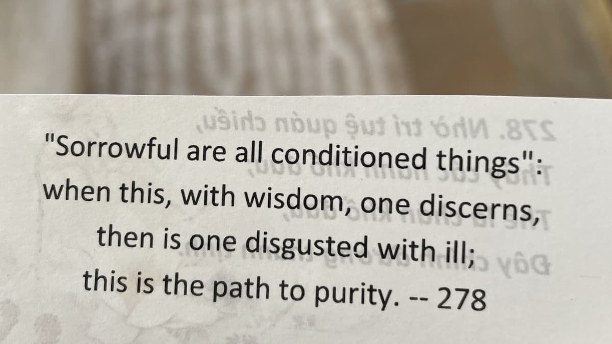 Sorrowful are all conditioned things - Dhammapada quote